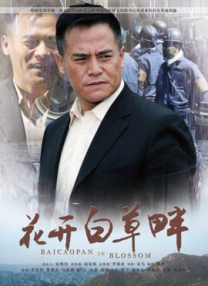 亚洲少妇激情